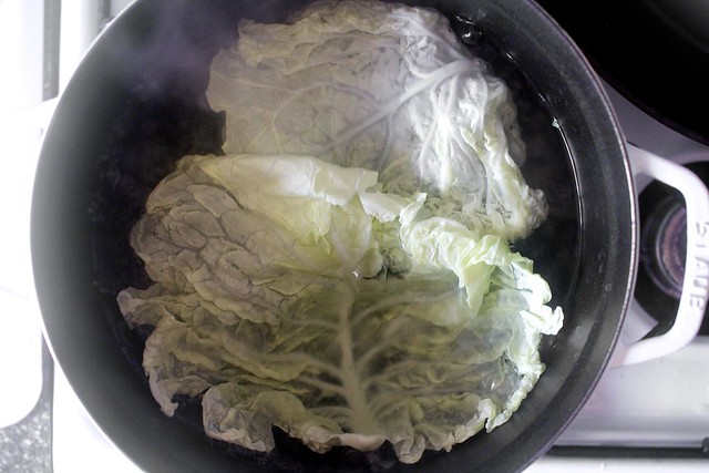 quickly blanching the cabbage leaves