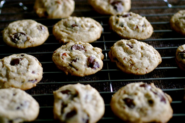 chocolate chip cookies