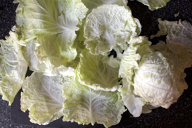 big floppy cabbage leaves