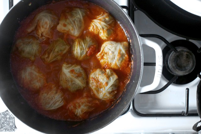 stuffed cabbage in tomato sauce